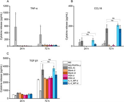 Functional interleukin-4 releasing microparticles impact THP-1 differentiated macrophage phenotype